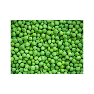 Semillas de Guisantes Verdes a granel, semillas de guisantes verdes para platos diarios de alta calidad - Product Image 3