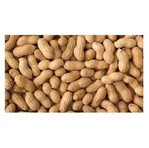 Especificación para el precio del grano de cacahuete molido