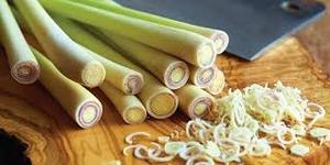 Herbe de citronnelle séchée, ingrédient de tisane, matière première végétale naturelle pour la préparation et l'exportation, emballage en vrac pour la vente en gros - Product Image 6
