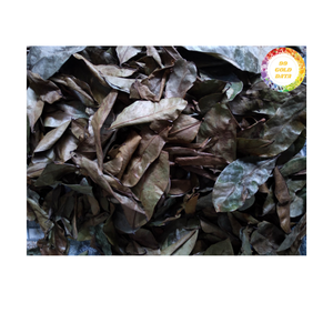 Feuilles de corossol séchées au soleil Feuilles naturelles entières d'origine vietnamienne Parfaites pour les magasins de thé et les commerçants d'herbes séchées - Product Image 5