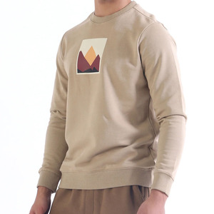 Sweat-shirt pour homme à impression numérique personnalisée, polaire premium, col rond, hiver, épais, chaud, décontracté, quotidien, streetwear, 370g, approvisionnement en vrac - Product Image 4