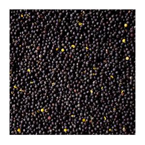 Semillas de colza al mejor precio de fábrica/semillas de canola/semillas de colza con entrega rápida - Product Image 2