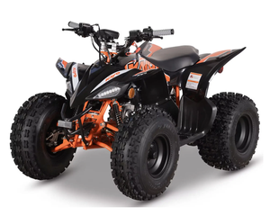 Última Tendencia, Nuevo Cuatriciclo Juvenil Kayo Predator 125 EFI 2025 - Entrega a Domicilio Disponible - Product Image 1