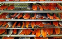 Vietnam 100% Ikan Lele Asap Alami Camilan Sehat Tinggi Protein |   Penyimpanan Dingin & Kering, Umur Simpan 12+ Bulan (Grosir)