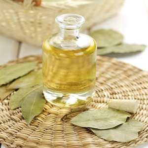 Aceite esencial de Laurel puro a granel, pérdida de peso destilada al vapor y beneficios blanqueadores, fabricante en la India - Product Image 1