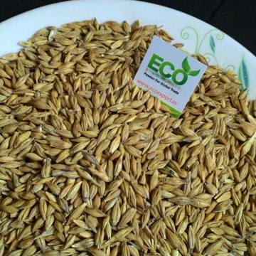 Grootmaat gemoute kwaliteit grootmaat gemoute cilesi e larte menlike verbruik en kook natuurlike produk Men natuurlike kook