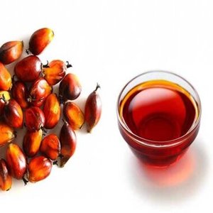 Aceite de Palma Crudo Orgánico Premium al por Mayor, Empaquetado a Granel para Uso Industrial, Origen África Occidental |   Biodiésel de Fábrica Directa a Precio Competitivo - Product Image 1