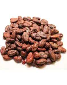 Ekspor dan impor kakao premium kualitas tinggi cokelat gemuk \ kualitas tinggi biji kakao rumania-biji kakao-kacang coklat