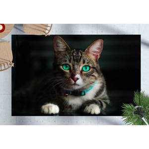 Tapis imprimé : Tapis chat aux yeux verts, Tapis animaux, Décoration personnalisée style ferme, Tapis à poils doux - Product Image 2