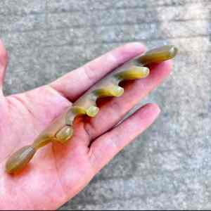 Peine de Cuerno de Búfalo Hecho a Mano de Lujo, Ecológico y de Alta Calidad - Product Image 2