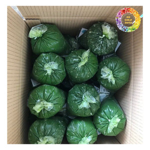 ใบมันสำปะหลังแช่แข็ง, มันสำปะหลังสับแช่แข็งสำหรับซุป, สตูว์, มันสำปะหลังราคาถูก, ใบมันสำปะหลัง/ใบ manioc แช่แข็ง - Product Image 2