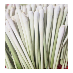Venta al por mayor de tallos de hierba de limón congelada y piezas cortadas de hierba de limón congelada para especias de curry, productor de hierba de limón congelada de Vietnam - Product Image 1
