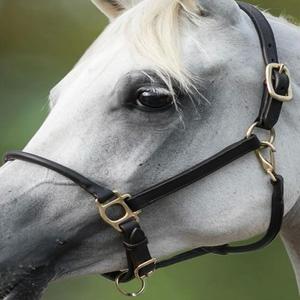 Cabestro de caballo de cuero de brida inglés hecho a mano de buena calidad con banda para la nariz enrollada y doble hebilla de corona ajustable caballo Halter - Product Image 3