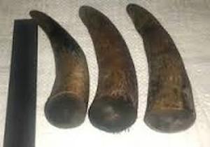 Punta de cuerno de búfalo Natural, técnica tallada, estilo de amor, resistente al agua para MANGO de cuchillo hecho en casa, mango de espada, marco de Anteojos - Product Image 6