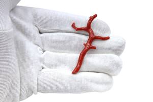 ปะการังแดงแบบอิตาลีอัญมณีสีขาวแบบหลวมหินปะการังทะเลเมดิเตอร์เรเนียนขัดเงาเรียบสำหรับทำเครื่องประดับ - Product Image 2