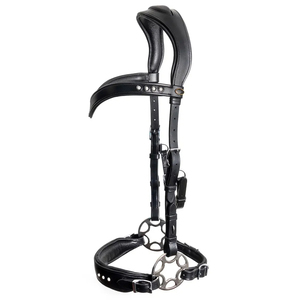 บังเหียนม้าทำมือคุณภาพสูง ผลิตจากบังเหียนแท้ของ Glory Hackamore พร้อมสายบังเหียนหนัง  บังเหียนม้าแบบสั่งทำพิเศษ - Product Image 2