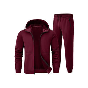 Venta al por mayor Regular Fit Hombres Sudadera con capucha Pantalones de chándal 100% Algodón 2 piezas Conjunto Logotipo personalizado Jogger Conjuntos Hombres Chándales Unisex Trajes de chándal - Product Image 1