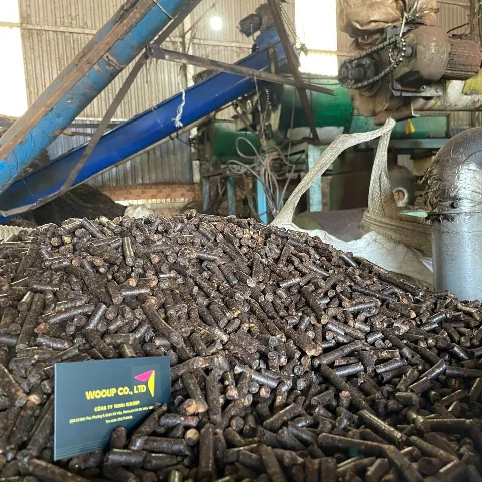 Granulés de biocombustible Déchets agricoles durables Balles de noix de cajou alternative aux granulés de bois