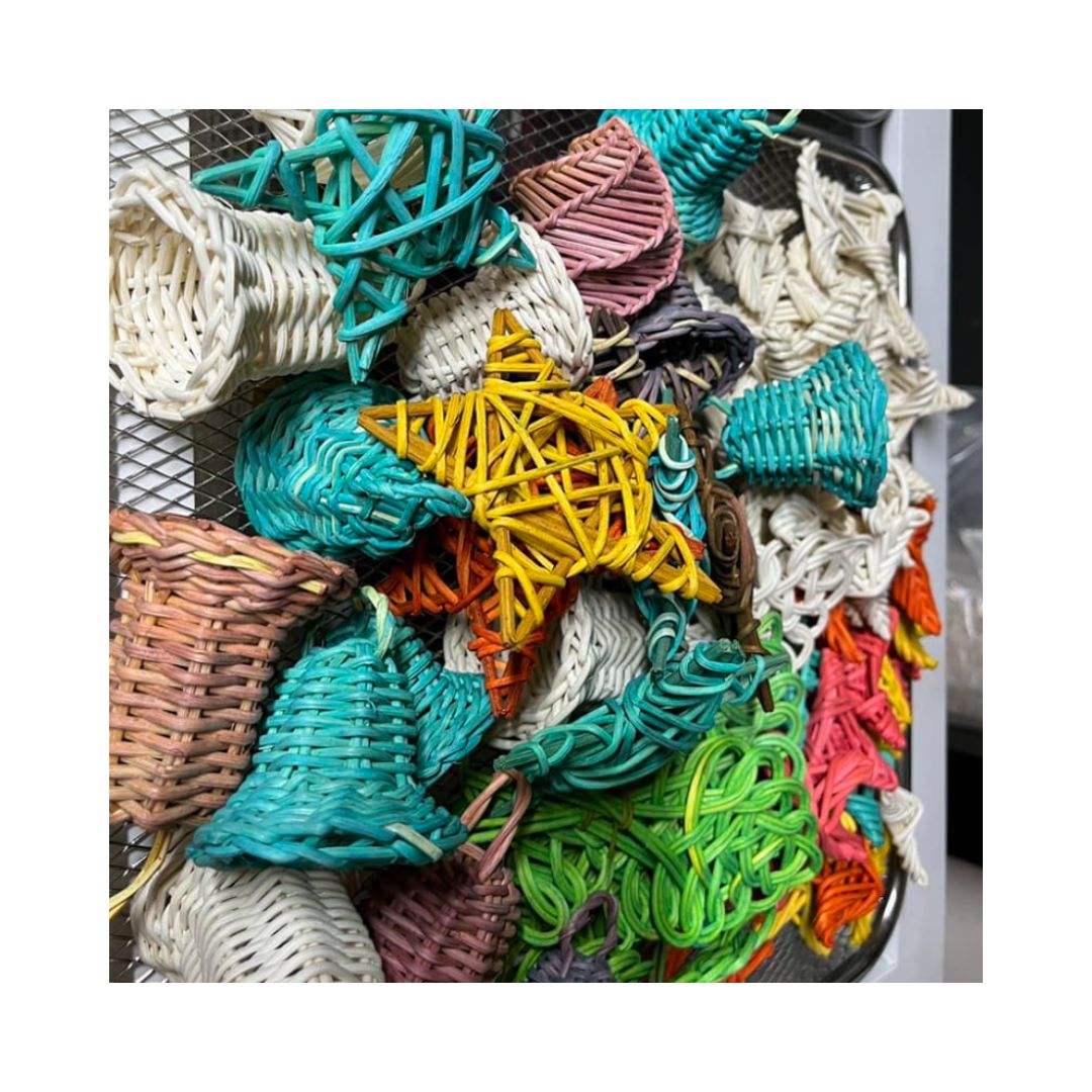 ความหลากหลาย