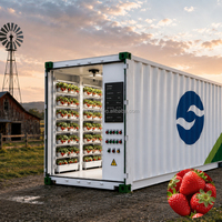 Conteneur de culture verticale de fraises conçu pour la production de baies fraîches et l'agriculture hydroponique commerciale