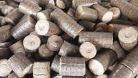 Briquettes de charbon de bois biomasse durable 90 mm – Qualité supérieure, solution de chauffage écologique et efficace pour les maisons