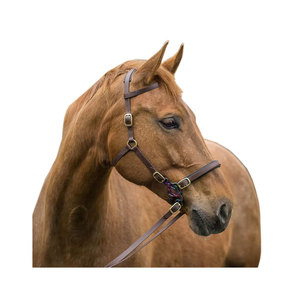 Best Quality Custom Design PVC Coated Webbing Durable Hand Stitching Horse Bridle for Horse Racing - Product Image 1