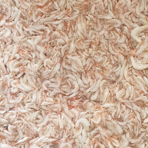 CREVETTES SALÉES DE HAUTE QUALITÉ DU FOURNISSEUR DU VIETNAM - Product Image 6