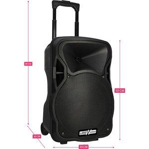 Sistema de PA Portátil Lastvoice LS-P1912EX, Woofer de 12 Pulgadas, Potencia Pico de >800W, 2.0 Canales, Micrófono Incorporado, Control Remoto - Product Image 2