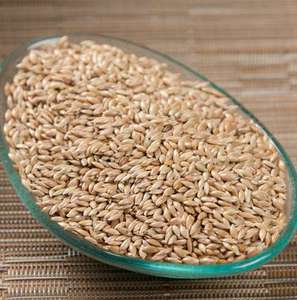 quality durum wheat