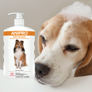 แชมพูและครีมนวดสุนัขสูตรซัลเฟอร์ แอนิโปร สำหรับสุนัขทุกสายพันธุ์ ช่วยแก้ปัญหาผิวหนังและลดการหลุดร่วงของขนได้อย่างมีประสิทธิภาพ - Product Image 1