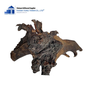 Vente chaude Naturel Aquarium Plantes Écologique Bois Flotté Pour Naturel Esthétique Fish Tank Aquarium Décoration Fabriqué au Vietnam - Product Image 3