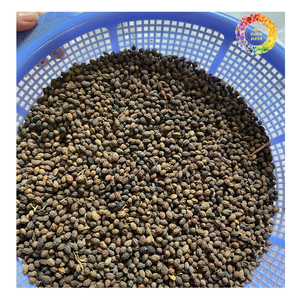 Semillas de hierbas de papaya Carica, semillas de papaya secas enteras | Semillas de papaya de té seco tropical | Semillas de fruta de papaya limpia a granel - Product Image 3