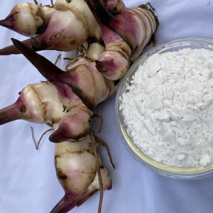 แป้งเท้ายายม่อมอบแห้งเวียดนามจากธรรมชาติคุณภาพดีปราศจากกลูเตนเป็นธรรมชาติคุณภาพสูงเหมาะสำหรับการอบอาหารเอเชีย - Product Image 1