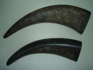 Punta negra de cuerno de búfalo sólido y buey de alta calidad para decoración del hogar - Product Image 1