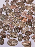 Pierres précieuses cabochons en jaspe léopard 100 % naturel de qualité AAA, couleur verte, formes variées, certifiées par un tiers, excellent prix, en promotion