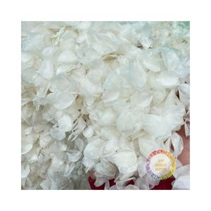 SNEAKHEAD LUBINA TILAPIA ESCALA DE PESCADO BLANCO PRECIO AL POR MAYOR HECHO EN VIETNAM LISTO PARA ENVIAR ESCALA DE PESCADO DE ALTA CALIDAD - Product Image 3