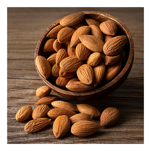 Wholesale stock California almonds <b>nuts</b> premium <b>kernels</b> prepared for bulk distribution - Product Image 4