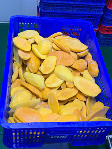 Cubos de mango congelados de Vietnam de primera calidad, hechos con mango fresco para la elaboración de helados y aplicaciones de servicio de alimentos. - Product Image 6
