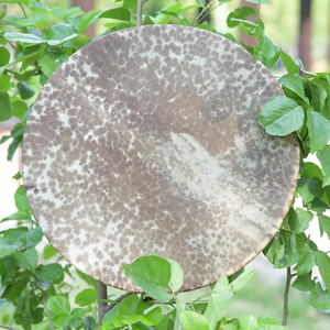 กลองหนังแท้ธรรมชาติ กลองชาแมนทำมือลายจุด กลองหนังแท้ลายธรรมชาติ - Product Image 1