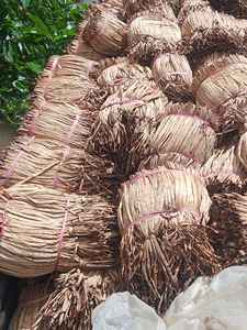 Materia prima seca de jacinto de agua de precio más bajo Material sostenible ecológico para artesanías de cestería - Product Image 6