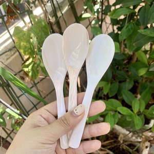Mother of Pearl Seashell <b>Spoon</b> 10ml Capacity Caviar <b>Serving</b> <b>Spoon</b> for High-End Foods-Flavor Preserving - Product Image 4