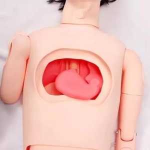 หุ่นจำลองการพยาบาลผู้สูงอายุขนาดเท่าคนจริง 100% สำหรับการฝึกอบรมการดูแลผู้ป่วย แบบจำลองการจำลองสถานการณ์ทางการแพทย์ การศึกษาทางการแพทย์ ทักษะทางคลินิก - Product Image 2