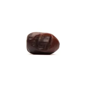 European standard and USA standard of in bulk Wholesale healthy fresh dates dried fruit dates