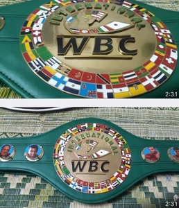 Cinturones de campeonato de boxeo Trofeos Medallas y premios el símbolo definitivo de la victoria y la excelencia Cinturones de Campeonato - Product Image 6