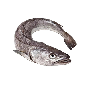 ปลาฮาเกะ - Product Image 2