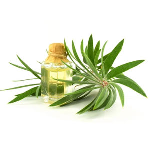 Huile essentielle d'arbre à thé de qualité supérieure 30 ml Pure biologique Naturelle Huile aromatique Nourrissante pour la peau Hydratante Massage Certifiée GMP - Product Image 3