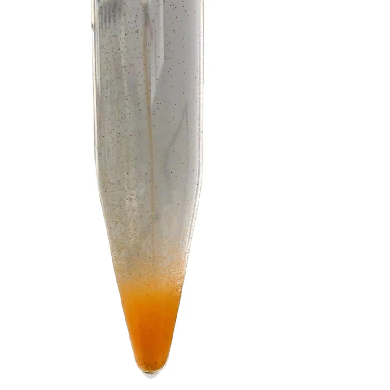 2023 Newly processed fish food Artemia Eggs Brine Shrimp Cysts