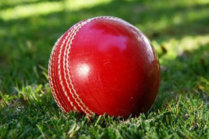 High Quality Material SUMROOS Wholesale <b>Cricket</b> Hard Ball Custom Made <b>Cricket</b> Hard Ball Light Weight <b>Cricket</b> Hard Ball - Product Image 3