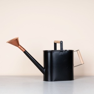 <b>Black</b> Metal Watering Can with Gold Tone <b>Shower</b> <b>Head</b> and Dual Handles for Indoor & Outdoor Plant Care - Product Image 4
