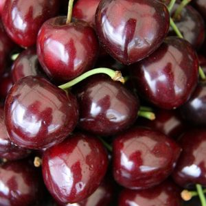Оптовая продажа, Свежие Вишни лучшего качества по низкой цене